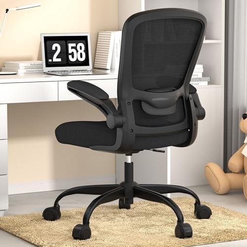 Review: Ergonomic Desk Chair with Adjustable Lumbar Support