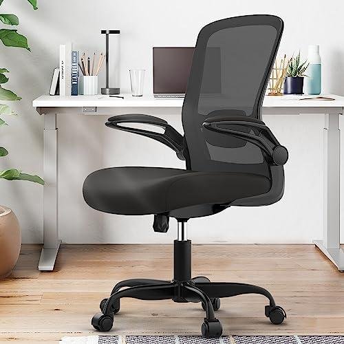 Review: Ergonomic Desk Chair with Adjustable Lumbar Support