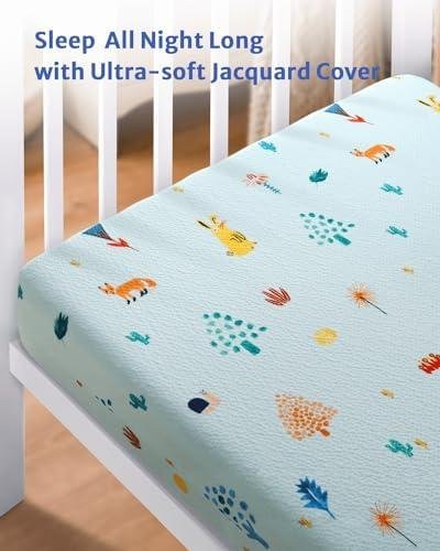 Blissful Diary Dual-Sided Crib Mattress Review