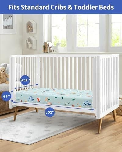 Blissful​ Diary Dual-Sided Crib Mattress Review